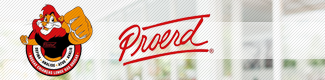 Bn_325x80_proerd